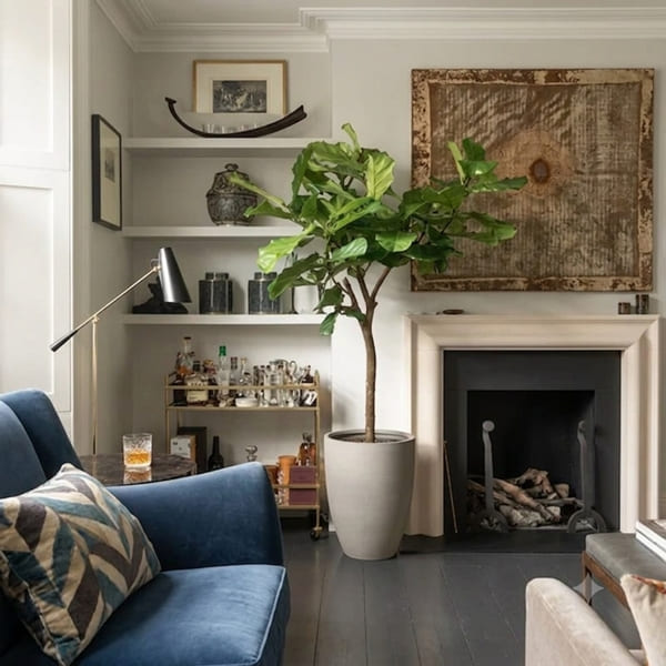 Plant delivery London